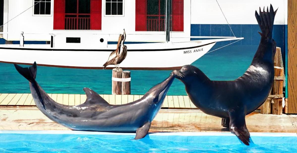 Aquavista 404W Villa Panama City Beach Eksteriør billede